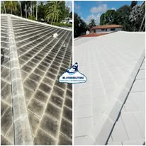 Tile Roof — before and after pressure washing